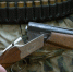 В Тюменской области начался сезон охоты на птиц - NG72.Ru