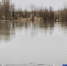 Фото Дениса Моргунова - Tumentoday.Ru