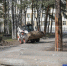 Фото Екатерины Христозовой - Tumentoday.Ru