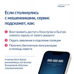 t.me/government_rus