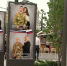 Выставка с фотографиями участников СВО открылась на пешеходной улице в Тюмени - ГТРК Регион-Тюмень
