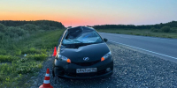 Фото пресс-службы Госавтоинпекции Тюменской области - Tumentoday.Ru
