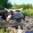 Фото Госавтоинспекции Тюменской области - Tumentoday.Ru
