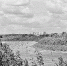 Праздник длиною в пять километров - Тюменский курьер