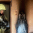 Пожар в многоэтажном доме на Тульской унес жизнь тюменца - Комсомольская правда