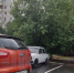 В Тюмени 25 августа обещают жару до +28 градусов, солнечно - MegaTyumen.Ru