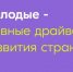 Эксперт Росмолодежи назвала критерии грантовых конкурсов при составлении паспорта - Комсомольская правда
