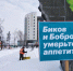 митинг против мусорной реформы, мусорная реформа, Тюмень(2019)|Фото: Накануне.RU - Nakanune.Ru