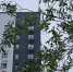 Фото Артемия Романова - Tumentoday.Ru