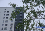 Фото Артемия Романова