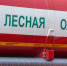 Вновь горим? В тюменских лесах - средняя степень пожарной опасности - NG72.Ru