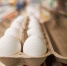 Продуктивные курицы-несушки снесли в Тюменской области более 804 млн яиц - Комсомольская правда