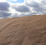Telegram-канал Сергея Борисевича - ИА Тюменская линия