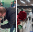 Фото Елены Ковалевой - Tumentoday.Ru