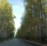 Исполнен наказ данный депутату - Городская Дума