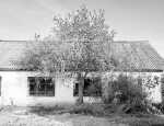 На улице Марины Расковой в Тюмени.