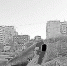 Сказка ожила чуть раньше - Тюменский курьер