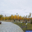 Фото Екатерины Христозовой - Tumentoday.Ru