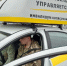 Тюменские ветераны СВО с инвалидностью смогут обучиться вождению автомобиля с ручным управлением - Департамент социального развития