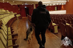 Росгвардия в Тюменской области обеспечила безопасность проведения праздничных мероприятий Дня народного единства