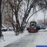 Фото Артемия Романова - Tumentoday.Ru