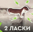 Фото: Тюменское экологическое объединение, vk.com - Tumentoday.Ru