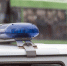 Сергей Елесин, ИА "Тюменская линия" - ИА Тюменская линия