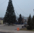 Новогоднюю ель установили на городской площади в Ишиме - ГТРК Регион-Тюмень