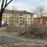 Обрезка деревьев в округе № 3 - Городская Дума