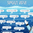 Фото из телеграм-канала «Нур.Официально» - Tumentoday.Ru