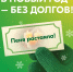 Жители Тюмени смогут погасить задолженности за тепловую энергию без штрафов - Комсомольская правда