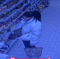 JPEG Файл - УМВД Тюменской области