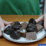 Фото Екатерины Христозовой - Tumentoday.Ru