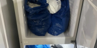 image-02-12-25-11-12-2 - УМВД Тюменской области