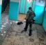 «Даже страшно представить, что он дома творит». В Тюмени неизвестный избил свою таксу в подъезде - MegaTyumen.Ru