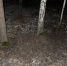 _EWYH4BnsGmkXD0oCX9_qdqbMNNhHz5rrSFFS5piZDZaT-2cKfDPjJlAIqh8OVADdLIP5PUmKwjfRCIyS2sBlfQK - УМВД Тюменской области
