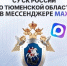 Официальный канал следственного управления СК России по Тюменской области в национальном мессенджере MAX! - Управление следственного комитета