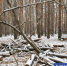 Фото Дениса Моргунова - Tumentoday.Ru