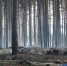 Фото Екатерины Христозовой - Tumentoday.Ru