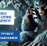 Тюменский сайт о кибербезопасности стал финалистом всероссийской премии «Рейтинг Рунета» - Комсомольская правда