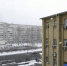 Фото Екатерины Христозовой - Tumentoday.Ru