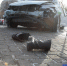 Фото Сергея Куликова - Tumentoday.Ru