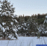Фото Елены Ковалевой - Tumentoday.Ru
