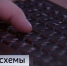 Мошенники в Тюменской области начали действовать под видом перевозчиков - ГТРК Регион-Тюмень