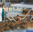 Фото Сергея Куликова - Tumentoday.Ru