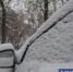 Фото Екатерины Христозовой - Tumentoday.Ru