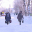 Морозно и без осадков в Тюмени 25 января - ГТРК Регион-Тюмень