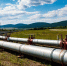 Россия сократила поставки газа в Европу почти вполовину за 2025 год - MegaTyumen.Ru