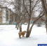 Фото Екатерины Христозовой - Tumentoday.Ru
