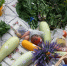 Фото Сергея Куликова - Tumentoday.Ru
